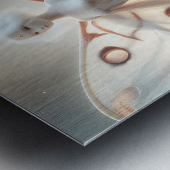Brushed Metal Print