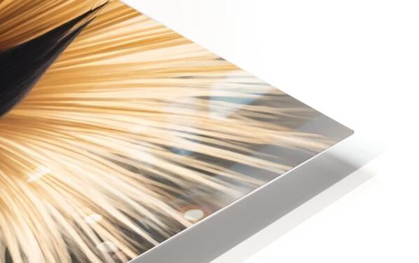 HD Sublimation Metal Print