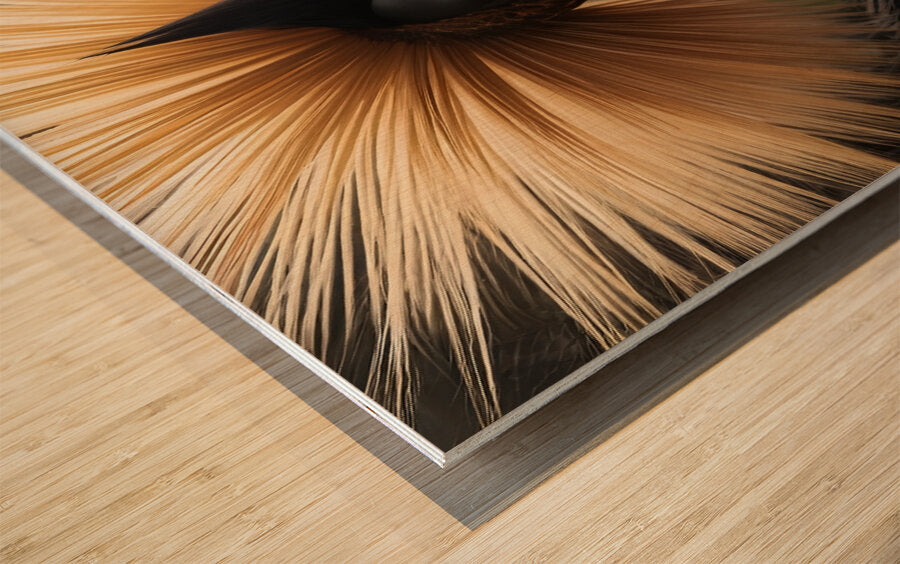 Wood Print