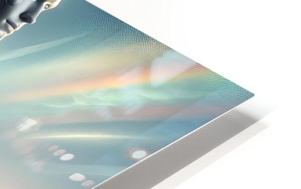 HD Sublimation Metal Print